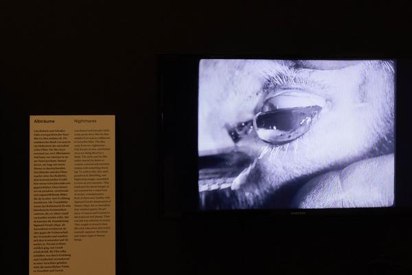 Augustin-Geschichtenwerkstatt &quot;Der Angst entgegen dichten&quot; @ Ausstellung &quot;Angst&quot; (Jüdisches Museum - Judenplatz, 6.11.2024 - 27.4.2025) Foto: eSeL.at - Lorenz Seidler