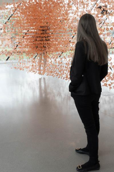 Landesgalerie Niederösterreich: Clarie Morgan "Hold me tightly lest i fall" (25.5.2024 - 2.3.2025) Foto: eSeL.at - Lorenz Seidler Foto: eSeL Lorenz Seidler