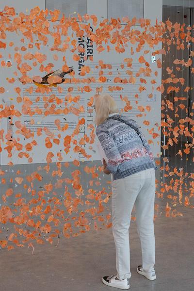 Landesgalerie Niederösterreich: Clarie Morgan "Hold me tightly lest i fall" (25.5.2024 - 2.3.2025) Foto: eSeL.at - Lorenz Seidler Foto: eSeL Lorenz Seidler