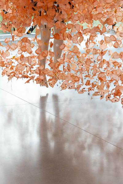 Landesgalerie Niederösterreich: Clarie Morgan "Hold me tightly lest i fall" (25.5.2024 - 2.3.2025) Foto: eSeL.at - Lorenz Seidler Foto: eSeL Lorenz Seidler