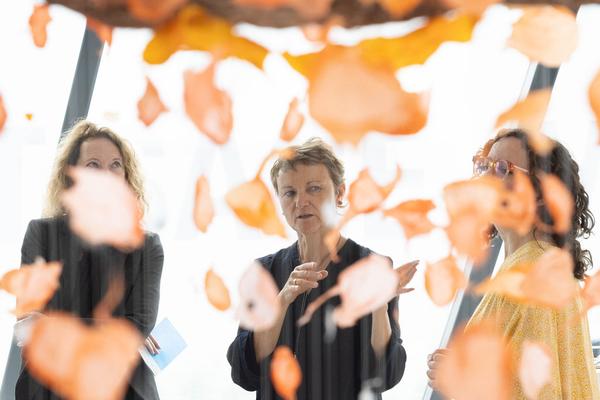 Landesgalerie Niederösterreich: Clarie Morgan "Hold me tightly lest i fall" (25.5.2024 - 2.3.2025) Foto: eSeL.at - Lorenz Seidler Foto: eSeL Lorenz Seidler