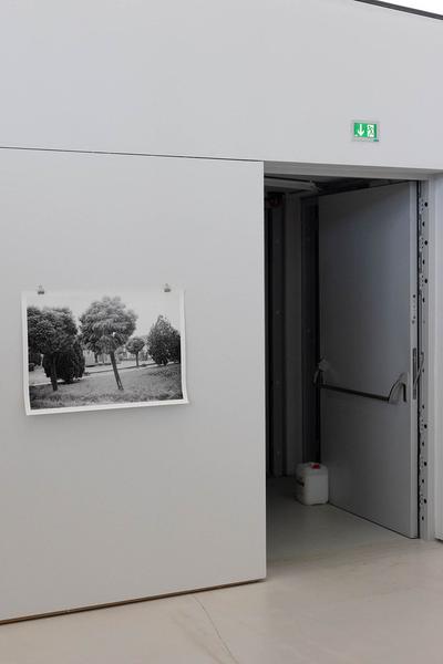 Landesgalerie Burgenland: Elfie Semotan "Der doppelte Blick" (24.5. - 6.10.2024) Foto: eSeL.at - Lorenz Seidler Foto: eSeL Lorenz Seidler