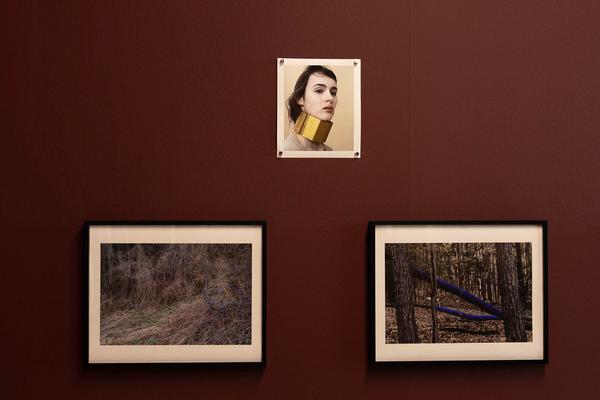 Landesgalerie Burgenland: Elfie Semotan "Der doppelte Blick" (24.5. - 6.10.2024) Foto: eSeL.at - Lorenz Seidler Foto: eSeL Lorenz Seidler
