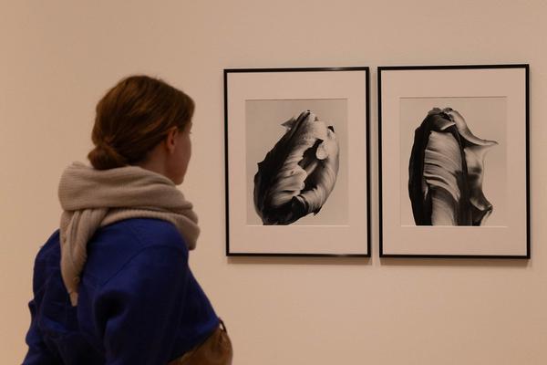 Landesgalerie Niederösterreich: Elfriede Mejchar "Grenzgängerin der Fotografie" (13.4.2024 - 16.2.2025) Foto: eSeL.at - Lorenz Seidler Foto: eSeL Lorenz Seidler