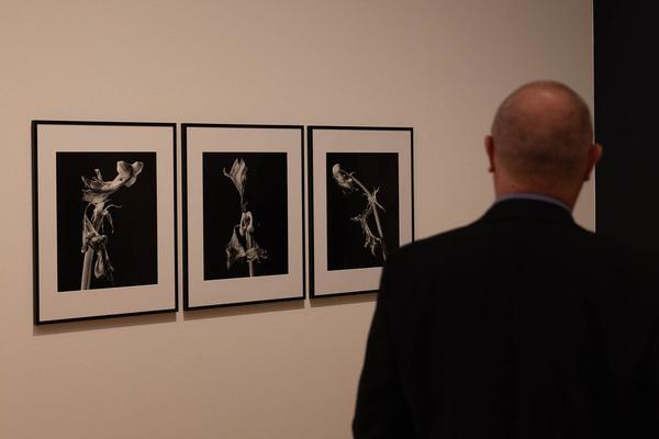 Landesgalerie Niederösterreich: Elfriede Mejchar "Grenzgängerin der Fotografie" (13.4.2024 - 16.2.2025) Foto: eSeL.at - Lorenz Seidler Foto: eSeL Lorenz Seidler