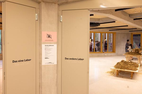  Foto: eSeL Lorenz Seidler
