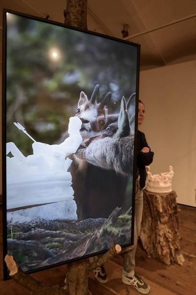 Klima Biennale 2024: Into the Woods. Annäherung an das Ökosystem Wald (Kunst Haus Wien, 6.4.-11.8.2024) Foto: eSeL.at - Joanna Pianka Foto: Joanna Pianka