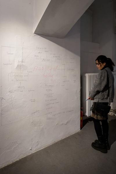 VIENNA ART WEEK fragility of being - Curators’ Agenda: VIENNA 2024 (das weisse haus, 09.11.2024-25.01.2025) Foto: eSeL.at - Joanna Pianka