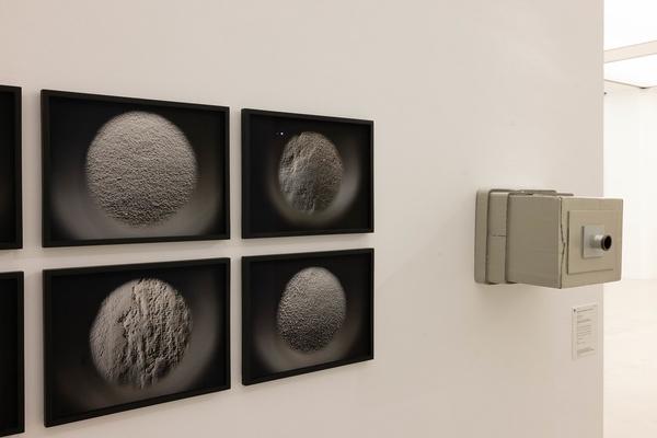 &quot;Gekauft! Und dann?&quot; Neues aus der Kunstsammlung der Stadt Wien 2018-2023 (Wien Museum MUSA, 26.9.2024 - 23.2.2025) Foto: eSeL.at - Lorenz Seidler