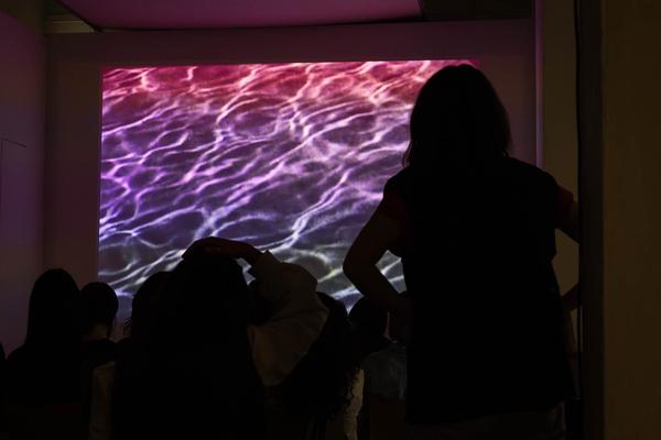 Kunstraum Niederösterreich x Kunstverein Gartenhaus: Klima Biennale Screening "Inflammation" (15.5.2024) Foto: eSeL.at - Lorenz Seidler Foto: eSeL Lorenz Seidler