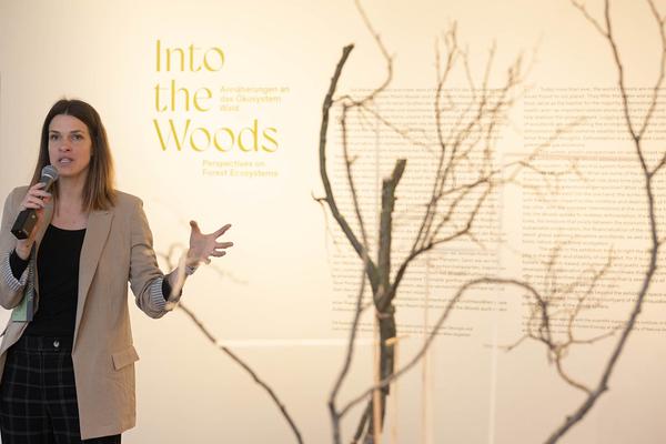 Klima Biennale 2024: Into the Woods. Annäherung an das Ökosystem Wald (Kunst Haus Wien, 6.4.-11.8.2024) Foto: eSeL.at - Lorenz Seidler Foto: eSeL Lorenz Seidler