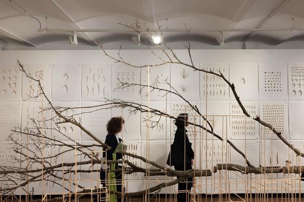 Klima Biennale 2024: Into the Woods. Annäherung an das Ökosystem Wald (Kunst Haus Wien, 6.4.-11.8.2024) Foto: eSeL.at - Lorenz Seidler Foto: eSeL Lorenz Seidler