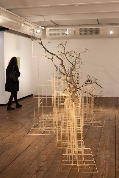 Klima Biennale 2024: Into the Woods. Annäherung an das Ökosystem Wald (Kunst Haus Wien, 6.4.-11.8.2024) Foto: eSeL.at - Lorenz Seidler Foto: eSeL Lorenz Seidler