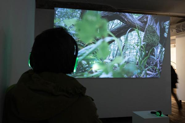 Klima Biennale 2024: Into the Woods. Annäherung an das Ökosystem Wald (Kunst Haus Wien, 6.4.-11.8.2024) Foto: eSeL.at - Lorenz Seidler Foto: eSeL Lorenz Seidler