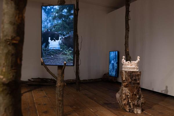 Klima Biennale 2024: Into the Woods. Annäherung an das Ökosystem Wald (Kunst Haus Wien, 6.4.-11.8.2024) Foto: eSeL.at - Lorenz Seidler Foto: eSeL Lorenz Seidler