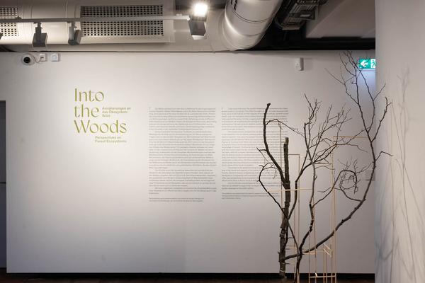Klima Biennale 2024: Into the Woods. Annäherung an das Ökosystem Wald (Kunst Haus Wien, 6.4.-11.8.2024) Foto: eSeL.at - Lorenz Seidler Foto: eSeL Lorenz Seidler