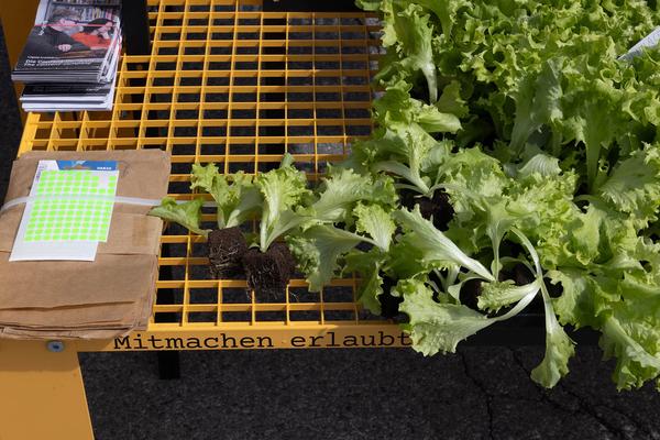 Klima Biennale 2024: Growing the City Farm (Festivalareal Nordwestbahnhof, 5.4. - 14.7.2024) Foto: eSeL.at - Lorenz Seidler Foto: eSeL Lorenz Seidler