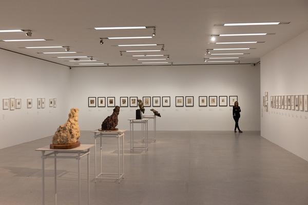 Medardo Rosso - &quot;Die Erfindung der modernen Skulptur&quot;  (mumok, 17.10.2024 - 23.2.2025) Foto: eSeL.at - Lorenz Seidler