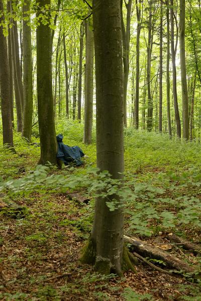 Tangente St. Pölten: Stefan Kaegi @ "Shared Landscapes. Sieben Stücke zwischen Wald und Wiese" - Caroline Barneaud & Stefan Kaegi / Rimini Protokoll (3.5. - 12.5.2024) Foto: eSeL.at - Lorenz Seidler Foto: eSeL Lorenz Seidler