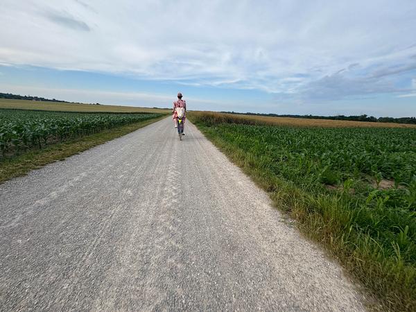  Foto: Kunst im öffentlichen Raum Nied