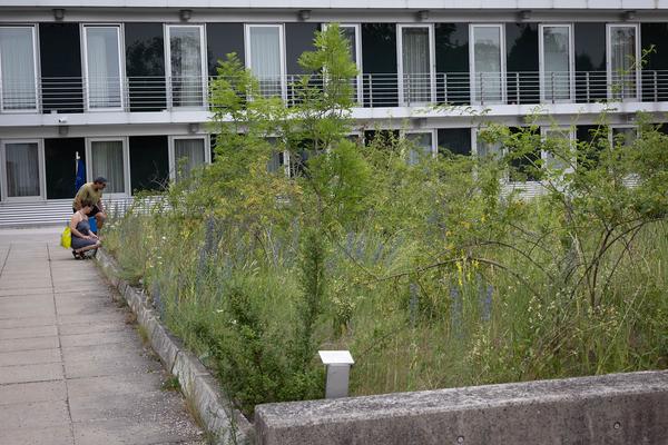 Tangente St. Pölten: Kunst im öffentlichen Raum Niederösterreich / Stadt Land Fluss (21.6.2024) Foto: eSeL.at - Lorenz Seidler Foto: eSeL Lorenz Seidler