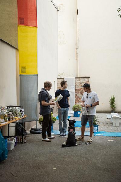 Wiener Klimahöfe: „Wo entsiegeln wir die Stadt?“ VIENNA DESIGN WEEK 2024 (Wiener Klimahöfe, 22.9.2024) Foto: eSeL.at/ViennaDesignWeek - Robert Puteanu