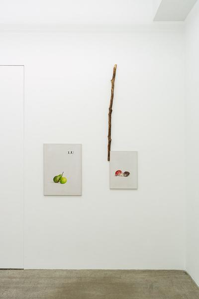 Alfredo Barsuglia "Ansiin" (Galerie3 Wien, 31.1.- 22.3.2025) Foto: eSeL.at - Robert Puteanu