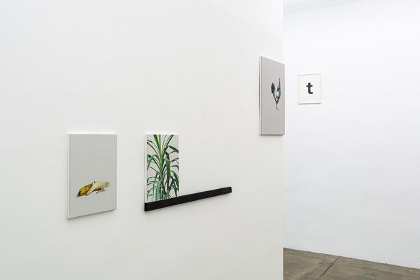 Alfredo Barsuglia "Ansiin" (Galerie3 Wien, 31.1.- 22.3.2025) Foto: eSeL.at - Robert Puteanu