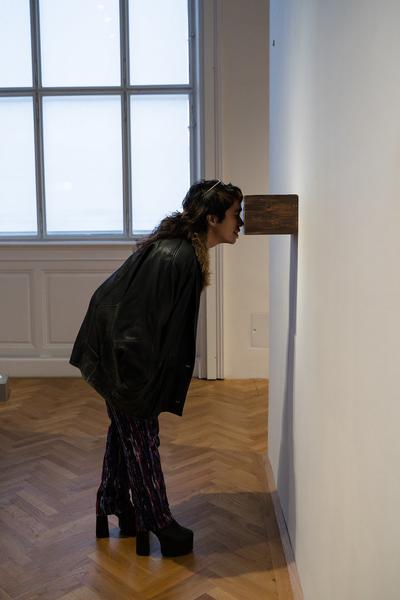 Opening: Come Closer (Akademie der bildenden Künste Wien, 10.04.2025) Foto: eSeL.at - Sarah Tasha