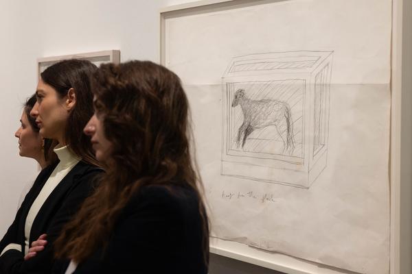 Damien Hirst: Drawings (Albertina Modern, 7.5. - 12.10.2025) Foto: eSeL.at - Lorenz Seidler