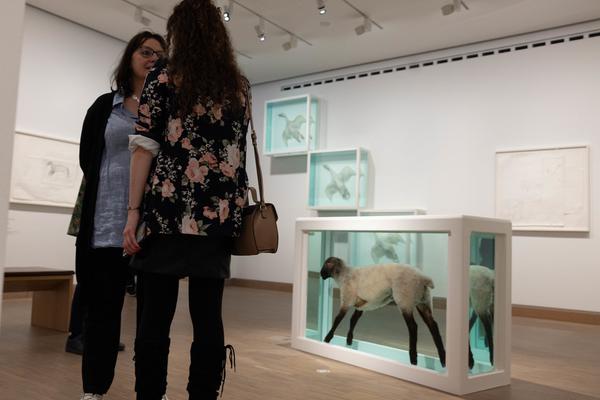 Damien Hirst: Drawings (Albertina Modern, 7.5. - 12.10.2025) Foto: eSeL.at - Lorenz Seidler