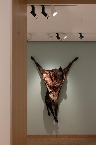 Damien Hirst: Drawings (Albertina Modern, 7.5. - 12.10.2025) Foto: eSeL.at - Lorenz Seidler