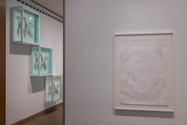 Damien Hirst: Drawings (Albertina Modern, 7.5. - 12.10.2025) Foto: eSeL.at - Lorenz Seidler
