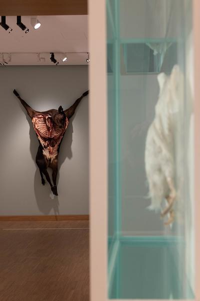 Damien Hirst: Drawings (Albertina Modern, 7.5. - 12.10.2025) Foto: eSeL.at - Lorenz Seidler