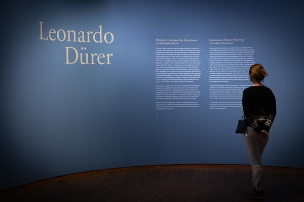 Leonardo – Dürer. Meisterzeichnungen der Renaissance auf farbigem Grund (7.3. - 9.6.2025) Foto: eSeL.at - Lorenz Seidler