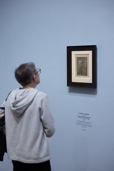 Leonardo – Dürer. Meisterzeichnungen der Renaissance auf farbigem Grund (7.3. - 9.6.2025) Foto: eSeL.at - Lorenz Seidler