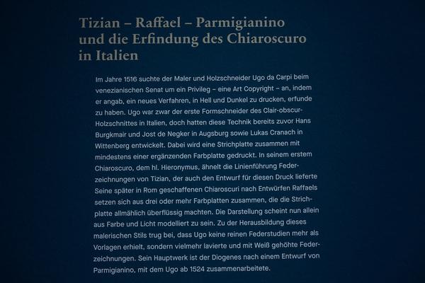 Leonardo – Dürer. Meisterzeichnungen der Renaissance auf farbigem Grund (7.3. - 9.6.2025) Foto: eSeL.at - Lorenz Seidler