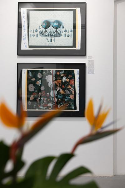 Polaroid Still Lifes (Ostlicht, 21.2. – 29.3.2025) Foto: eSeL.at - Lorenz Seidler