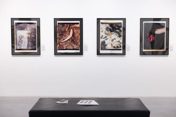 Polaroid Still Lifes (Ostlicht, 21.2. – 29.3.2025) Foto: eSeL.at - Lorenz Seidler