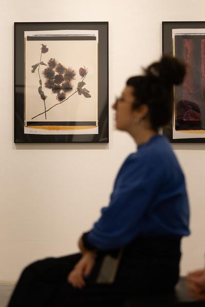 Polaroid Still Lifes (Ostlicht, 21.2. – 29.3.2025) Foto: eSeL.at - Lorenz Seidler