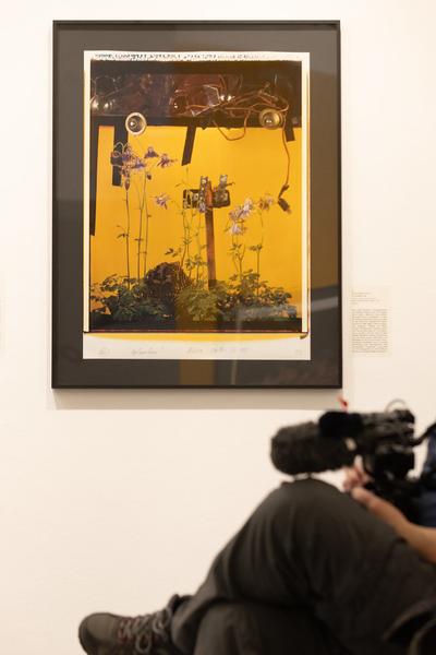 Polaroid Still Lifes (Ostlicht, 21.2. – 29.3.2025) Foto: eSeL.at - Lorenz Seidler