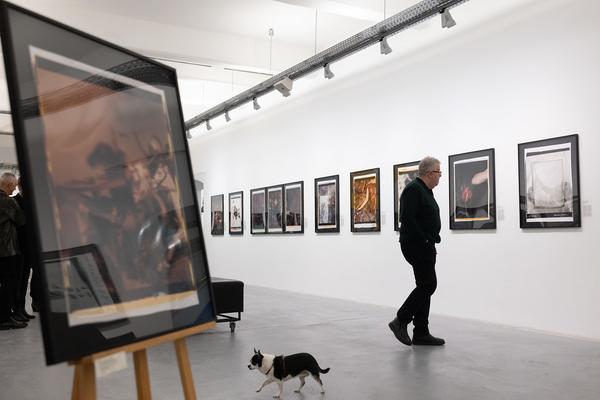 Polaroid Still Lifes (Ostlicht, 21.2. – 29.3.2025) Foto: eSeL.at - Lorenz Seidler