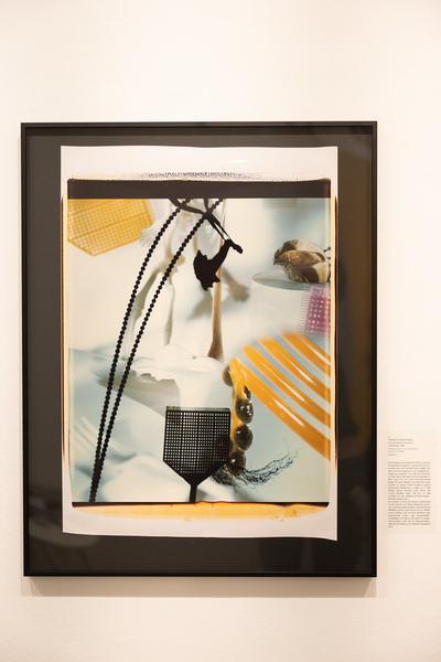 Polaroid Still Lifes (Ostlicht, 21.2. – 29.3.2025) Foto: eSeL.at - Lorenz Seidler