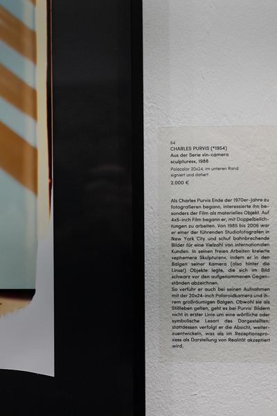 Polaroid Still Lifes (Ostlicht, 21.2. – 29.3.2025) Foto: eSeL.at - Lorenz Seidler
