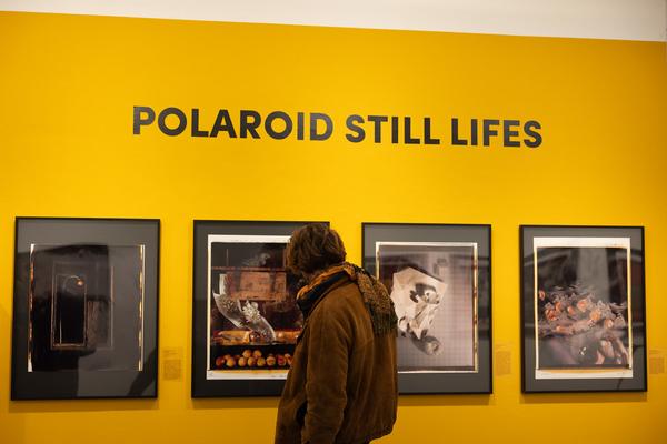 Polaroid Still Lifes (Ostlicht, 21.2. – 29.3.2025) Foto: eSeL.at - Lorenz Seidler