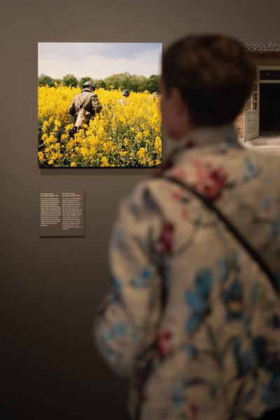 "Sag mir, wo die Blumen sind..." 80 Jahre nach dem Krieg – Fotografien von Roger Cremers (Jüdisches Museum Wien Judenplatz, 08.05.2025 – 18.01.2026) Foto: eSeL.at - Lorenz Seidler