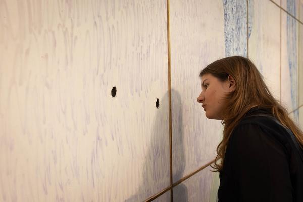 Anneliese Schrenk "Scale &amp; Skin" (Kunstforum Wien Tresor, 7.5. - 29.6.2025) Foto: eSeL.at - Lorenz Seidler