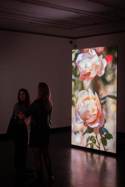 Markus Hanakam &amp; Roswitha Schuller "The Water Cabinet" (25.2. - 30.3.2025) Foto: eSeL.at - Lorenz Seidler