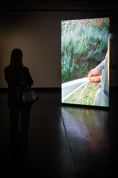 Markus Hanakam &amp; Roswitha Schuller "The Water Cabinet" (25.2. - 30.3.2025) Foto: eSeL.at - Lorenz Seidler