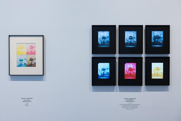 True Colors. Farbe in der Fotografie von 1849 bis 1955 (Albertina Modern, 24.1. - 21.4.2025) Foto: eSeL.at - Lorenz Seidler
